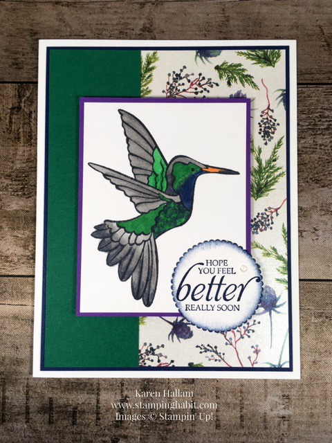 humming along, stampin up cling stamps, get well card idea, hummingbird card, frosted floral dsp, coloring with blends, handmade get well card, stampin up, karen hallam, stampinup