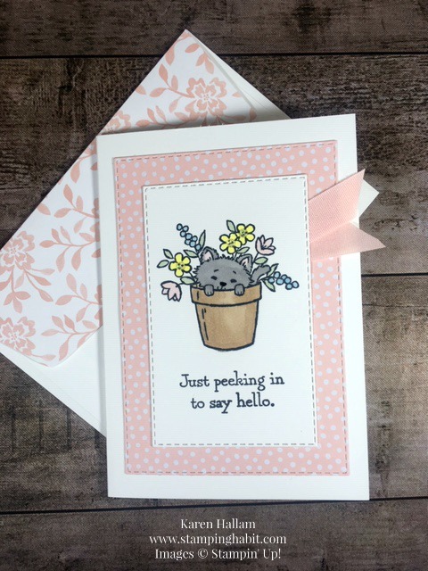 Pretty Kitty Note Card