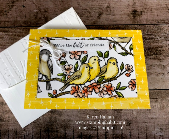 Bird Ballad Designer Series Paper, Stitched Rectangle Dies, note card idea, boxed gift set, Stampin' Up, Karen Hallam, stampinup