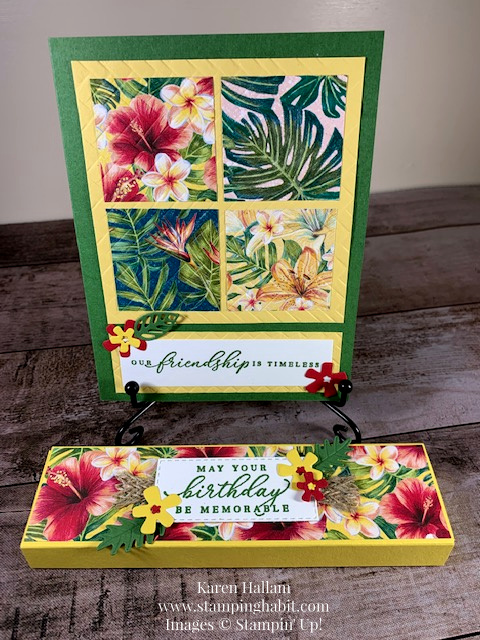 timeless tropical bundle, timeless tropical stamp set, in the tropics dies, tropical oasis dsp, coastal weave 3D embossing folder, friendship card idea, all occasion card idea, 3D birthday treat box, stampin up, karen hallam, stampinup