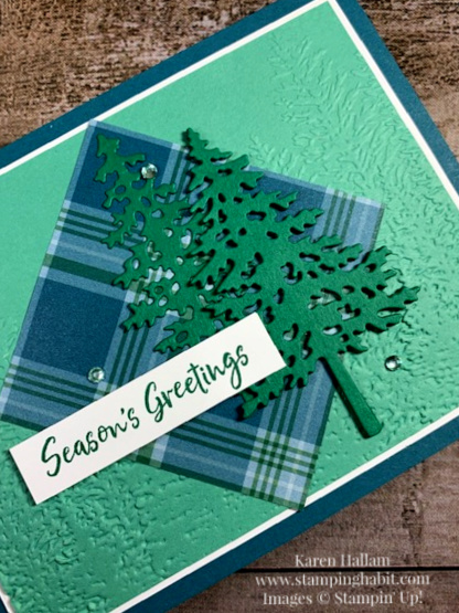 in the pines bundle, plaid tidings dsp, evergreen forest 3d embossing folder, holiday card idea, stampin up, karen hallam