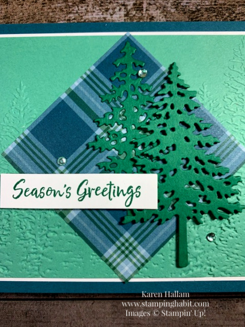 in the pines bundle, plaid tidings dsp, evergreen forest 3d embossing folder, holiday card idea, stampin up, karen hallam
