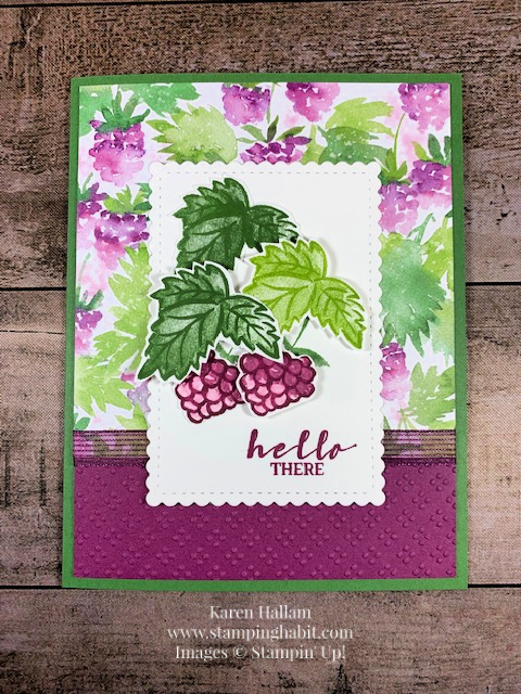 berry blessings stamp set, berry delightful dsp, sale-a-bration free items, stampin up, karen hallam