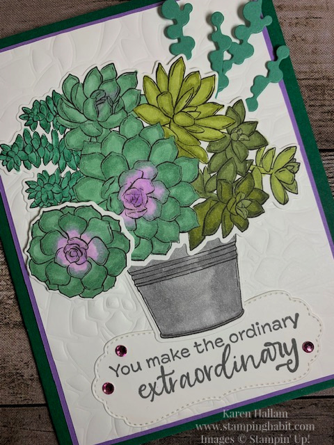 simply succulents bundle, dry embossing, coloring with blends markers, all-occasion card idea, stampin up, karen hallam
