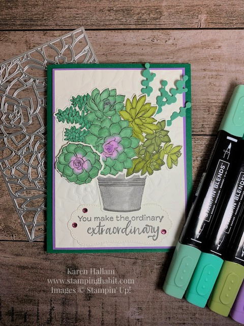 simply succulents bundle, dry embossing, coloring with blends markers, all-occasion card idea, stampin up, karen hallam