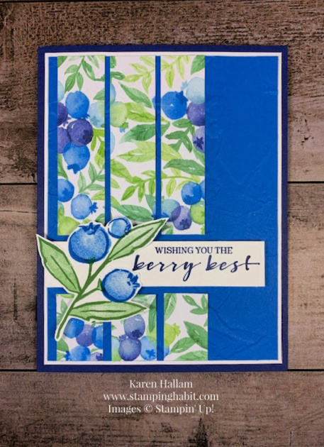berry blessings bundle, painted texture 3D embossing folder, best wishes card idea, stampin up, karen hallam