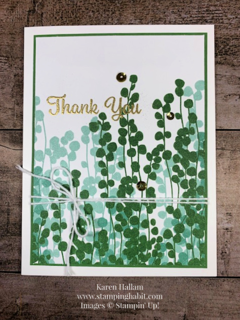bloom where you're planted dsp, plentiful plants stamp set, thank you card idea, stampin up, karen hallam