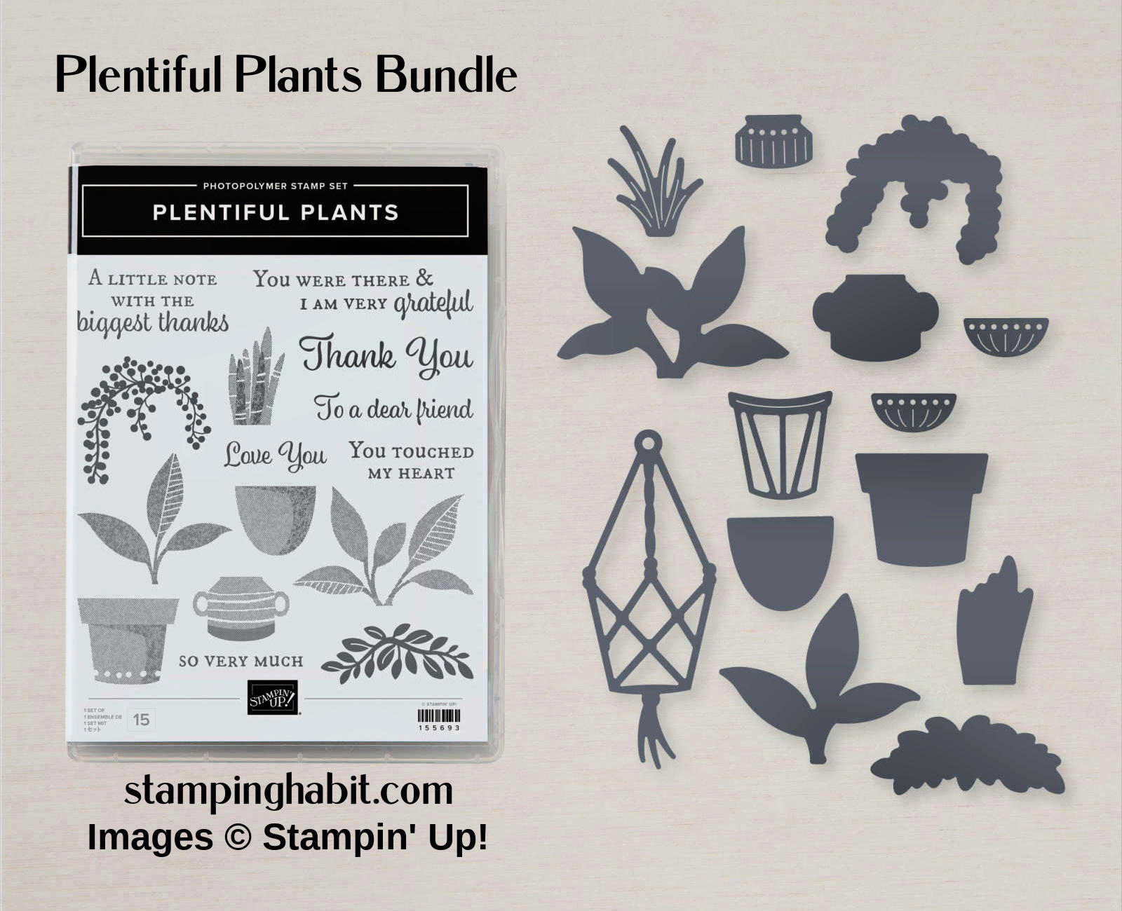 plentiful plants bundle, stampin up, karen hallam