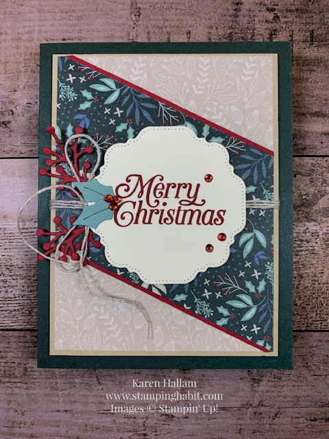 tidings & trimmings bundle, perfectly plaid stamp set, tidings of christmas dsp, hippo & friends dies, christmas card idea, stampin up, karen hallam
