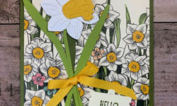 daffodil afternoon dsp, daffodil dies, spring all-occasion card idea, stampin up, karen hallam