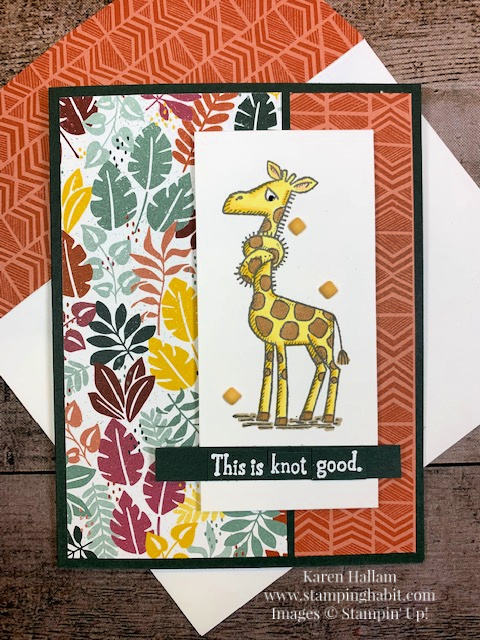back on your feet, in the wild dsp, CCMC713, get well card idea, stampin up, karen hallam