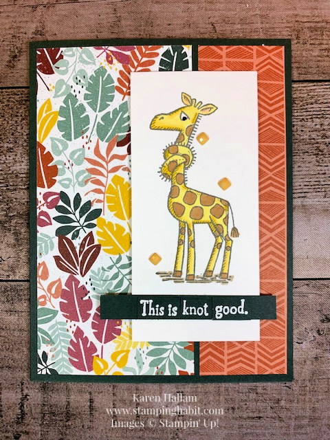back on your feet, in the wild dsp, CCMC713, get well card idea, stampin up, karen hallam