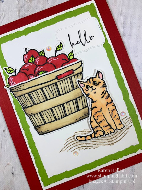 cheerful basket bundle, soft seedlings, a fish & a wish, deckled rectangle dies, coloring with blends markers, hello card for a cat person, stampin up, karen hallam
