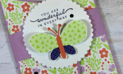 happiness abounds, butterfly kisses dsp, angled gatefold card, layering circles dies, fun fold card idea, stampin up, karen hallam