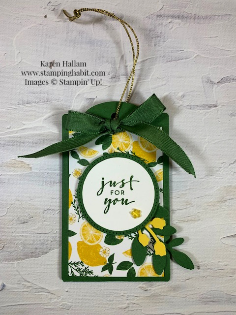 charming sentiments, celebrations tag dies, stylish shapes dies, bough punch, gift card holder idea, stampin up, karen hallam