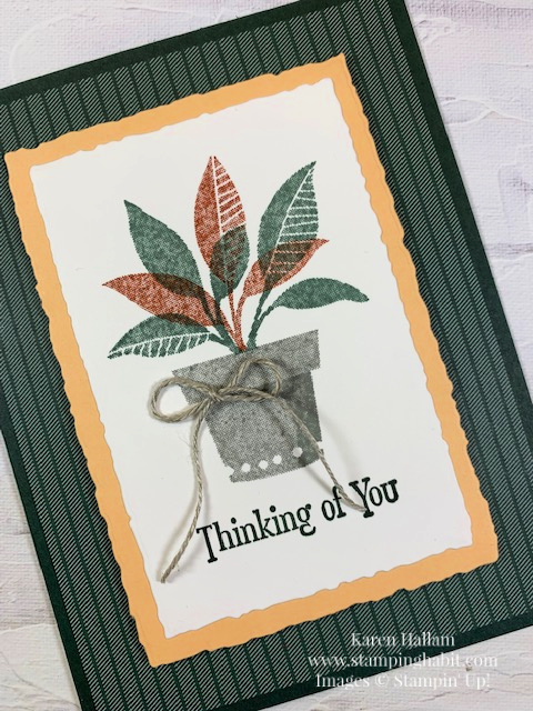 plentiful plants, deckled rectangles dies, 2022-24 in color dsp, thinking of you card idea, stampin up, karen hallam