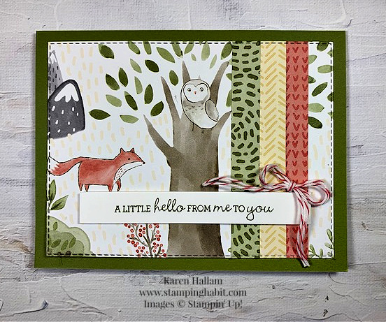 pansy patch, happy forest friends dsp, stitched rectangle dies, ccmc733, stampin up, karen hallam