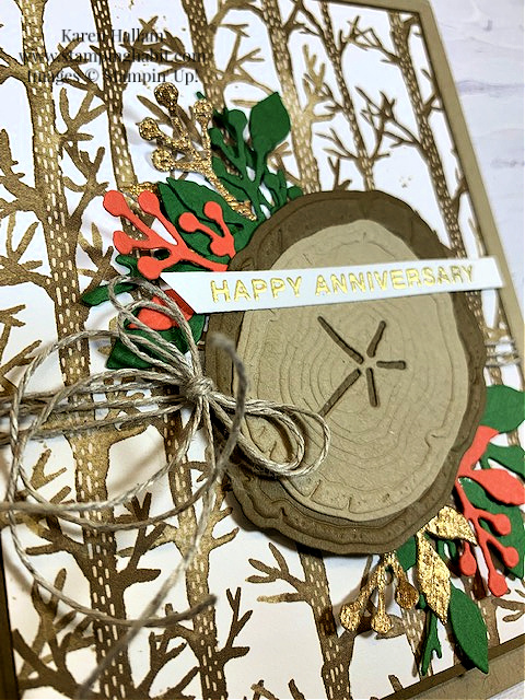 ringed with nature bundle, rings of love dsp, anniversary card idea, fall card idea, stampin up, karen hallam