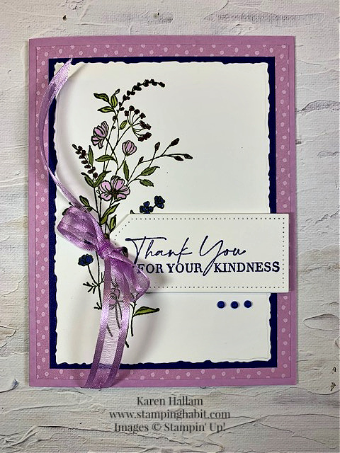 dainty delight, dainty flowers dsp, deckled rectangle dies, tailor made tags dies, thank you card idea, stampin up, karen hallam