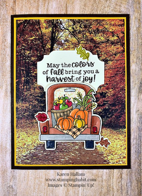 all about autumn dsp, coloring with blends, all that dies, autumn card idea, stampin up, karen hallam