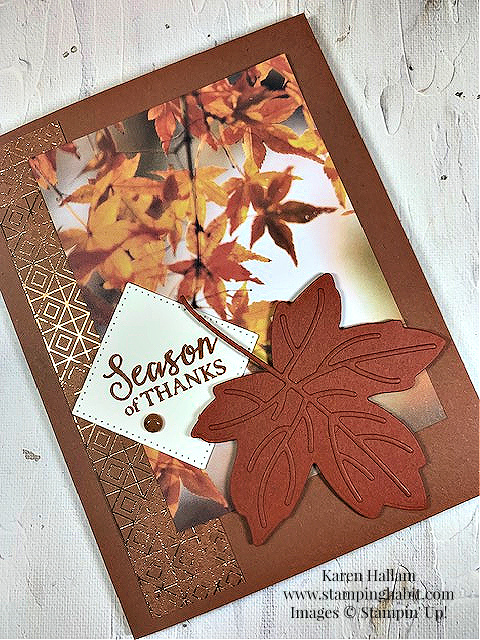 autumn leaves bundle, all about autumn dsp, stylish shapes dies, autumn card idea, stampin up, karen hallam
