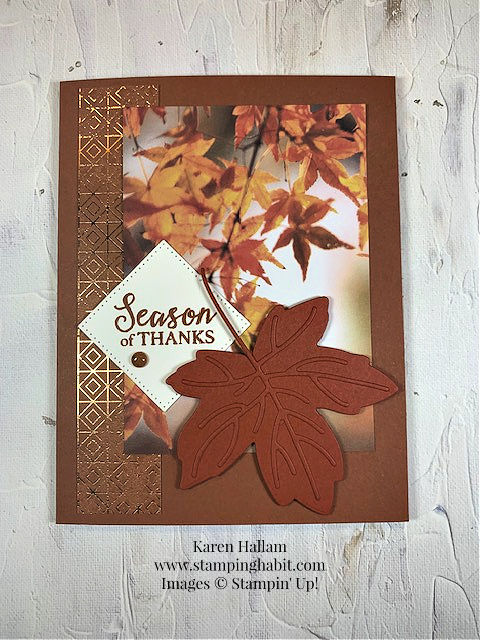 autumn leaves bundle, all about autumn dsp, stylish shapes dies, autumn card idea, stampin up, karen hallam