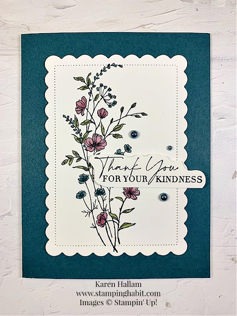 dainty delight stamp set, scalloped contours dies, ccmc792, thank you card idea, stampin up, karen hallam