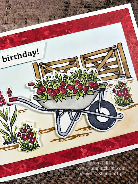 garden meadow bundle, birthday card idea, ccmc798, stampin up, karen hallam