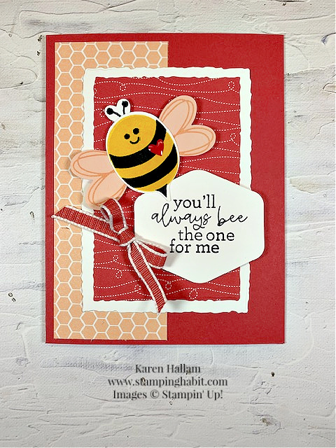 bee my valentine, bee builder punch, bee mine dsp, deckled rectangle dies, valentine card idea, stampin up, karen hallam