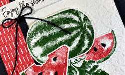 watercolor melon, sweet citrus, basics embossing folder, multi-occasion card idea, sale-a-bration item, stampin up, karen hallam