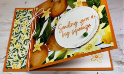 citrus blooms, mediterranean blooms dsp, spotlight on nature dies, card of encouragement idea, stampin up, karen hallam