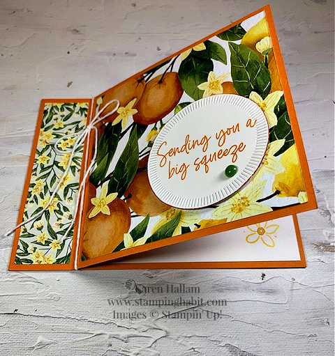 citrus blooms, mediterranean blooms dsp, spotlight on nature dies, card of encouragement idea, stampin up, karen hallam