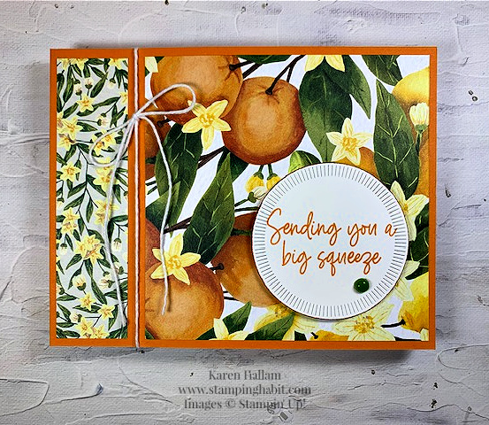 citrus blooms, mediterranean blooms dsp, spotlight on nature dies, card of encouragement idea, stampin up, karen hallam