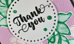 irresistible blooms, transluscent blooms bundle, everyday details dies, csf 822, thank you card idea, stampin up, karen hallam