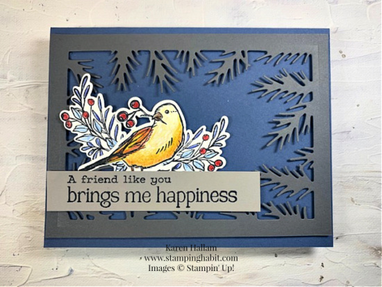 winterly tree tops bundle, friend card idea, stampin up, karen hallam