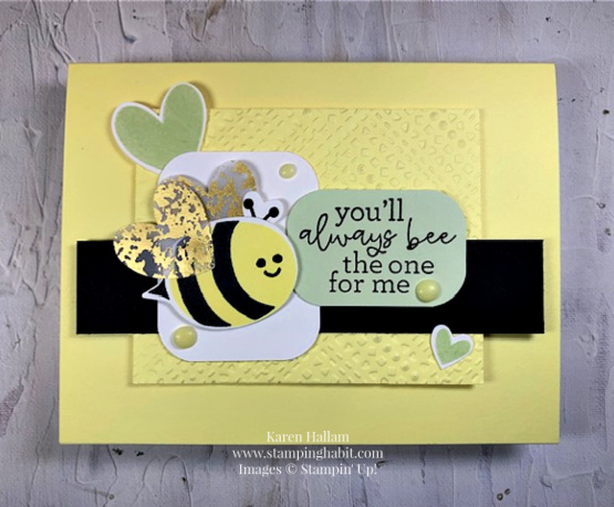 bee my valentine bundle, dashing designs emb folder, friend card idea, csf828, stampin up, karen hallam