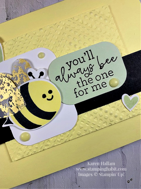 bee my valentine bundle, dashing designs emb folder, friend card idea, csf828, stampin up, karen hallam