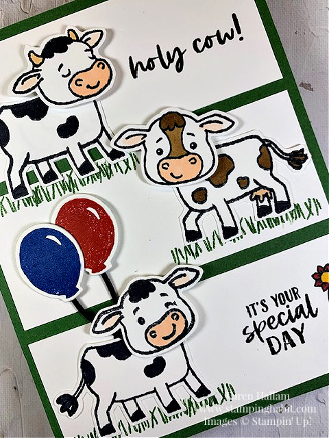 cutest cows bundle, filled with fun bundle, CASE, CSF 827, birthday card idea, stampin up, karen hallam