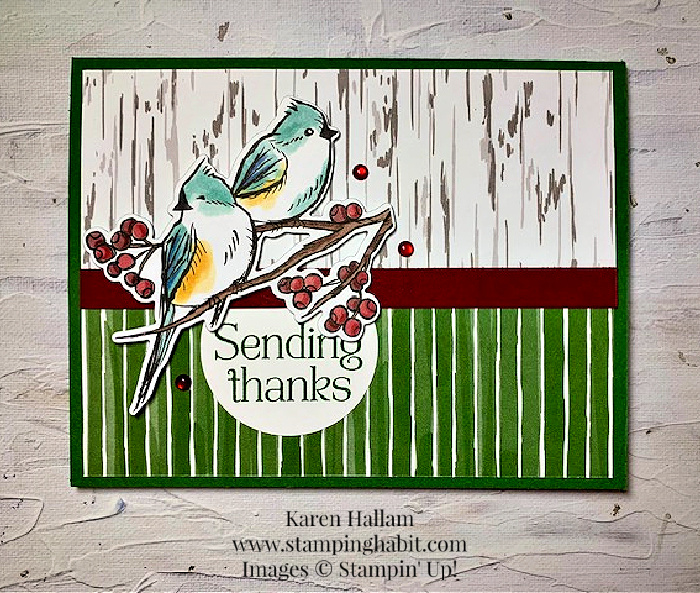 winterly tree tops bundle, nested winter dsp, circle punch, thank you card idea, csf837, stampin up, karen hallam