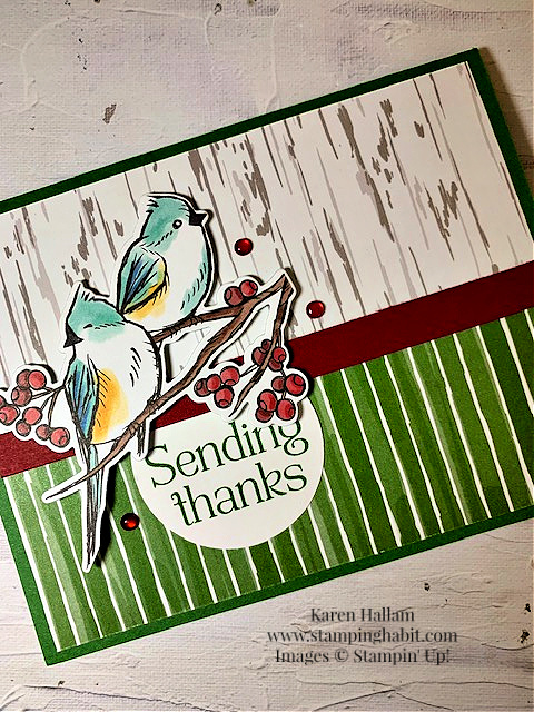 winterly tree tops bundle, nested winter dsp, circle punch, thank you card idea, csf837, stampin up, karen hallam