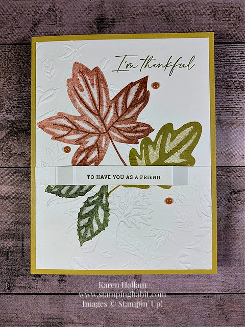 autumn leaves, leaf fall 3d embossing folder, csf 840, thankful card idea, friend card idea, stampin up, karen hallam