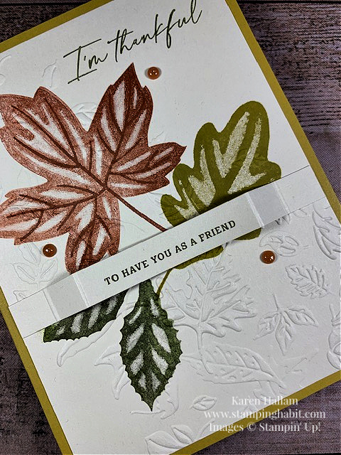 autumn leaves, leaf fall 3d embossing folder, csf 840, thankful card idea, friend card idea, stampin up, karen hallam