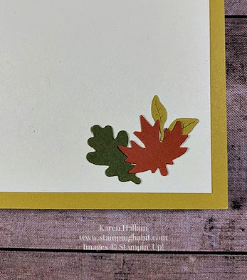 autumn leaves, leaf fall 3d embossing folder, csf 840, thankful card idea, friend card idea, stampin up, karen hallam