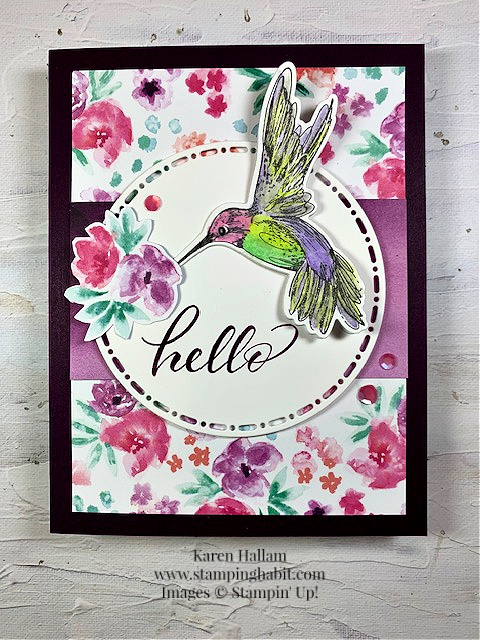 Hummingbird Hello